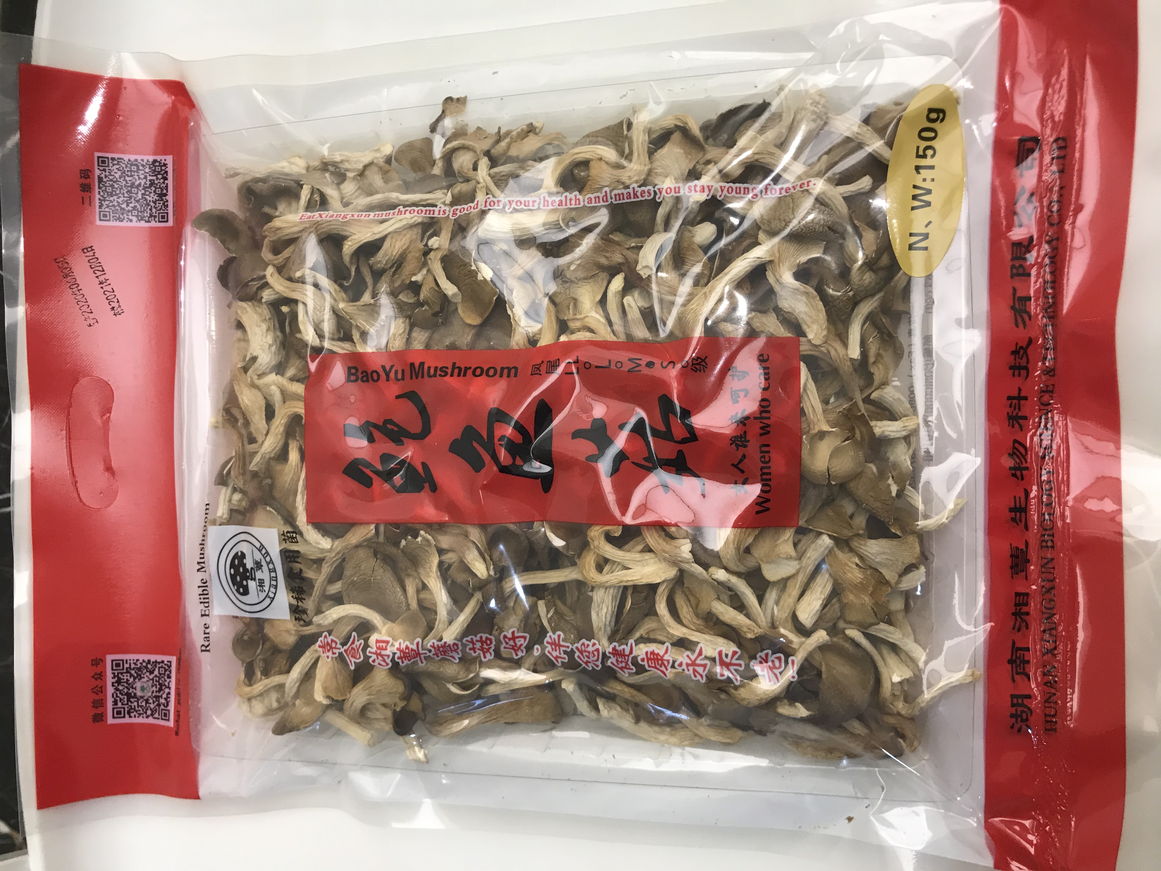 002 XiangXun Mushroom Rare Edible Mushroom Abalone Mushroom